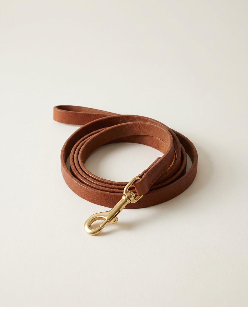 Leather leash with brass snap